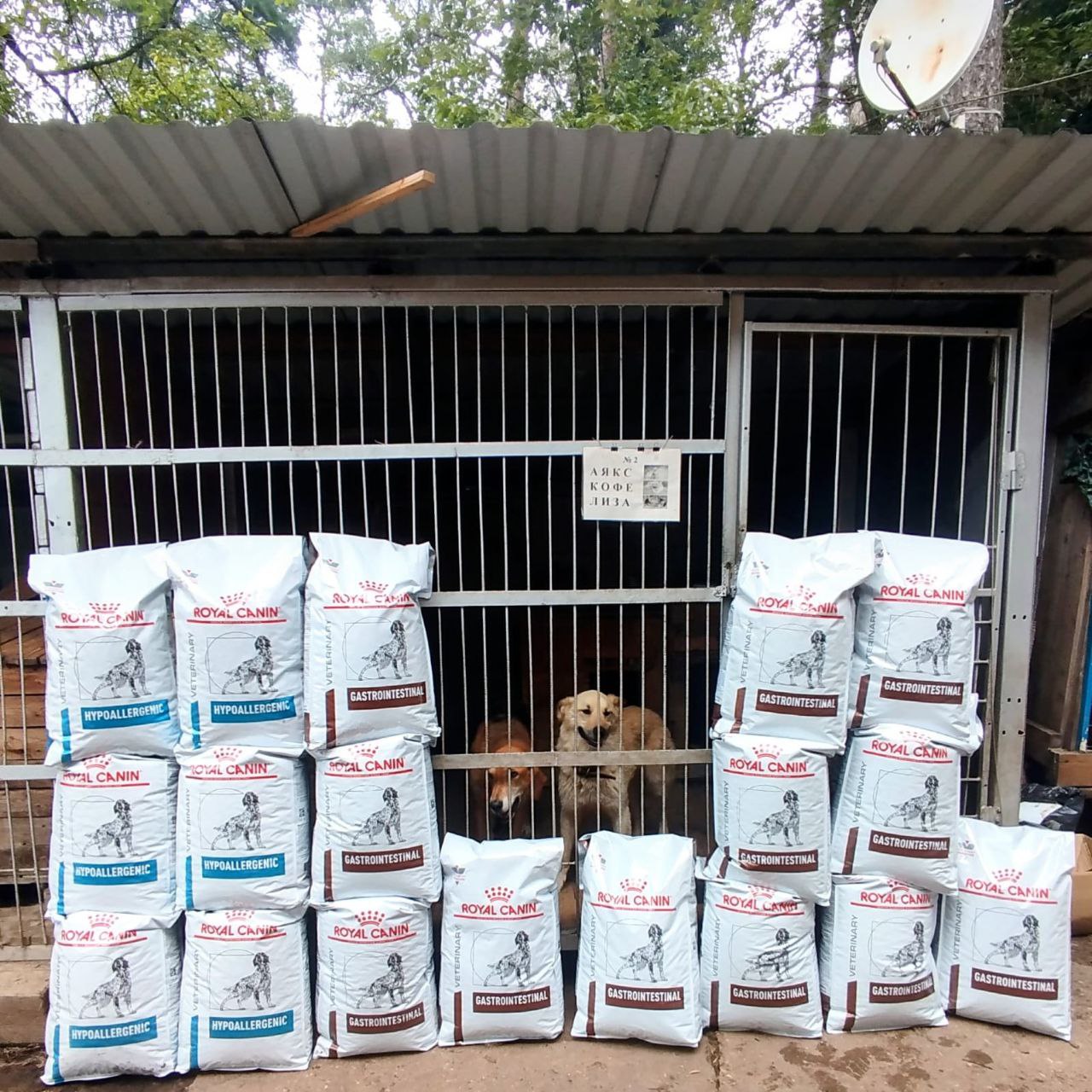 помощь приюту