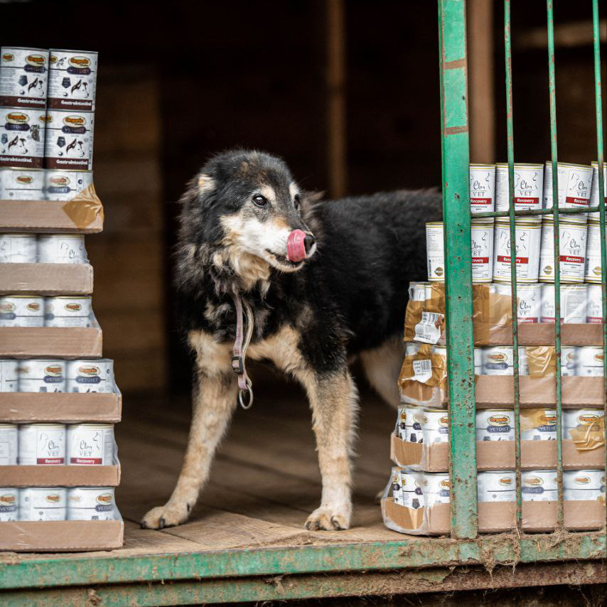 Туся получила помощь