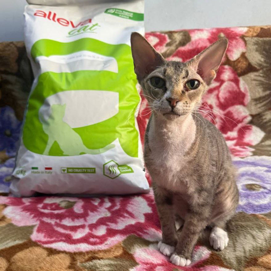 Чупа и Черномырдин получили помощь