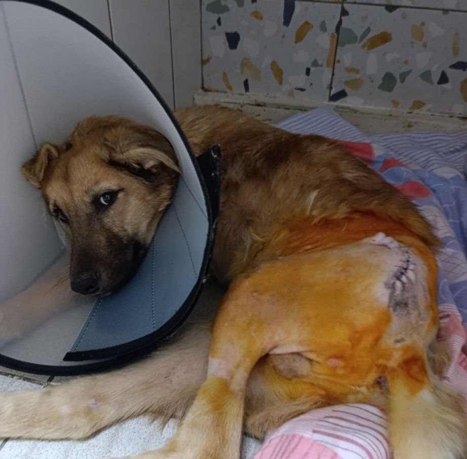 Куди провели операцию