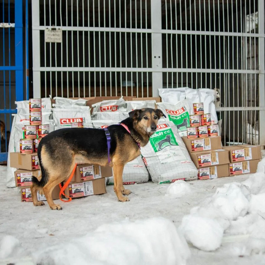 Приюты получили помощь!