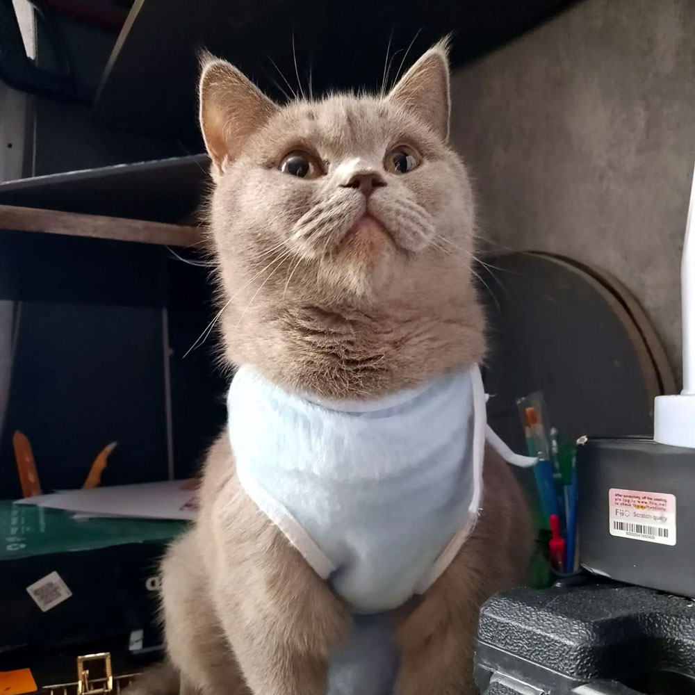 Отчет. Стерилизация