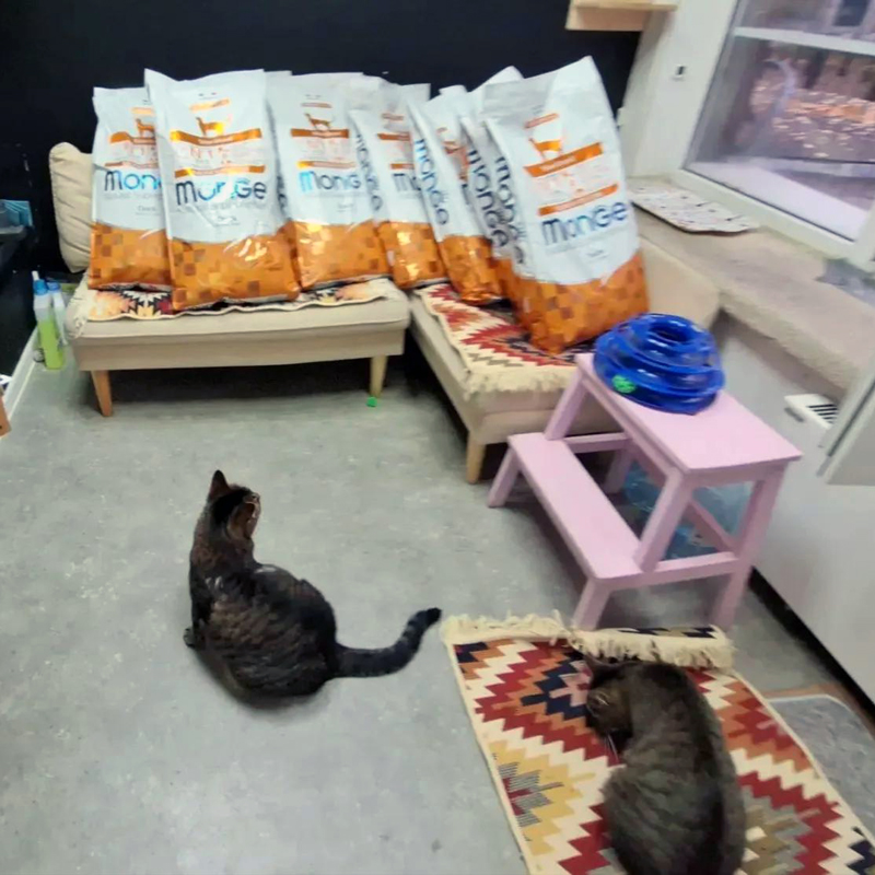 Помощь кормом